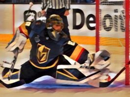 Fleury Vezina Trophy Winner