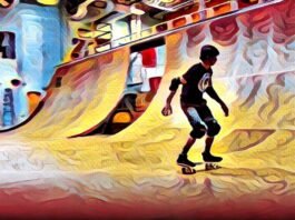 Tony Hawk Flies High